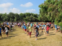 2011 מלחמת הארגון