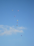 2013 סמינריון צוות